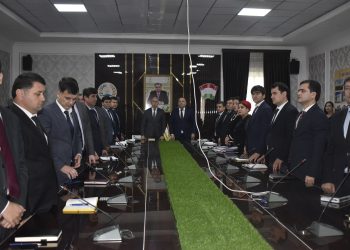 Тамошои дастаҷамъонаи Паём дар Хадамоти муҳоҷират