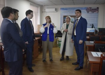 Техническая помощь Консультативным центрам Миграционной службы