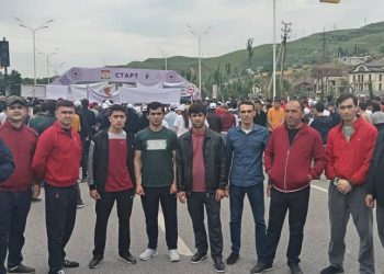 Кормандони Хадамоти муҳоҷират дар Дави миллӣ