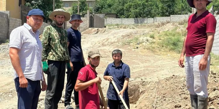 Саҳмгузории муҳоҷирони меҳнатӣ дар корҳои ободонию созандагӣ дар ноҳияи Темурмалик