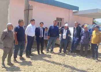 Чорабиниҳои иттилоотӣ – фаҳмондадиҳӣ дар ноҳияи Темурмалик