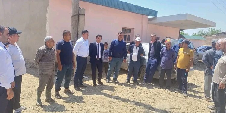 Чорабиниҳои иттилоотӣ – фаҳмондадиҳӣ дар ноҳияи Темурмалик