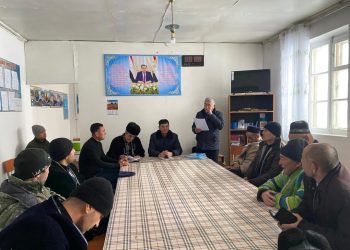 Чорабинии судманд дар ноҳияи Айнӣ