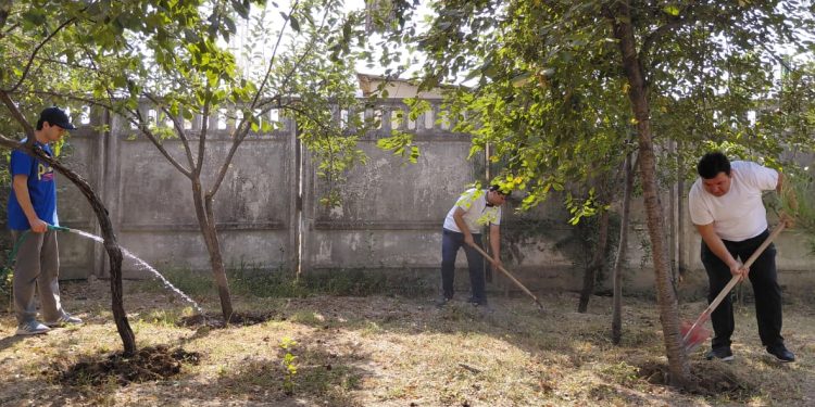 Шанбегии дастаҷамъона дар ташкилоти ибтидоии “Муҳоҷир” –и Хадамоти муҳоҷират