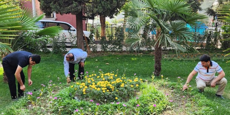 Баргузории шанбегӣ дар Хадамоти муҳоҷират