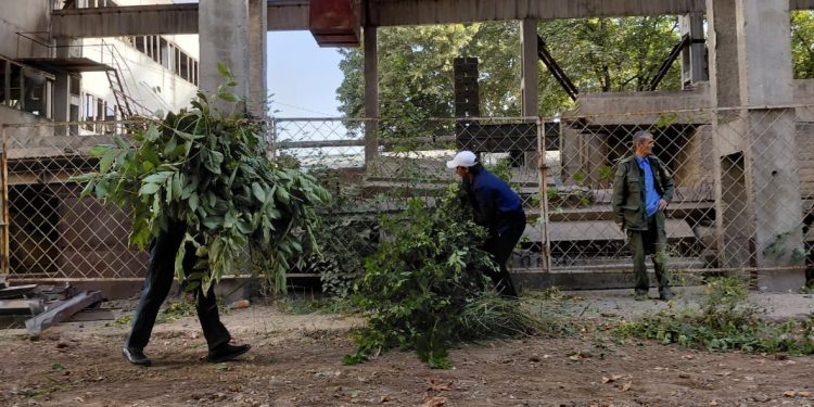 Шанбегии дастаҷамъона дар Хадамоти муҳоҷират