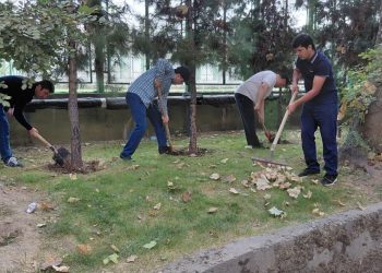 Шанбегии дастаҷамъона дар Хадамоти муҳоҷират