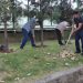 Шанбегии дастаҷамъона дар Хадамоти муҳоҷират