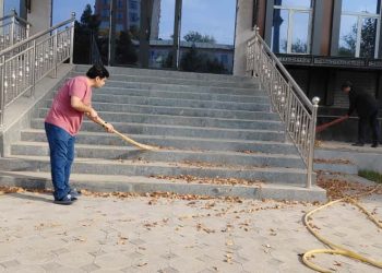 Ташкили шанбегии дастаҷамъона