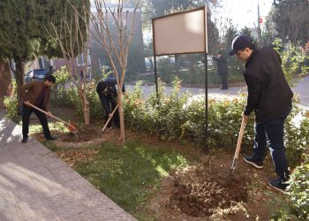 Коллективный субботник сотрудников Миграционной службы