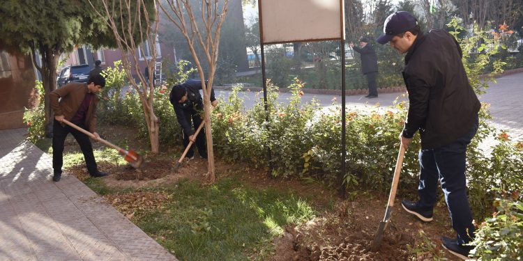 Коллективный субботник сотрудников Миграционной службы