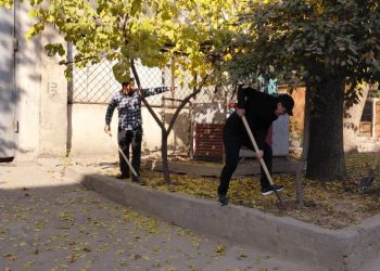 Шанбегии дастаҷамъона дар Хадамоти муҳоҷират