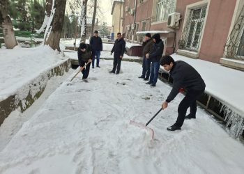 Баргузории шанбегӣ дар Хадамоти муҳоҷират