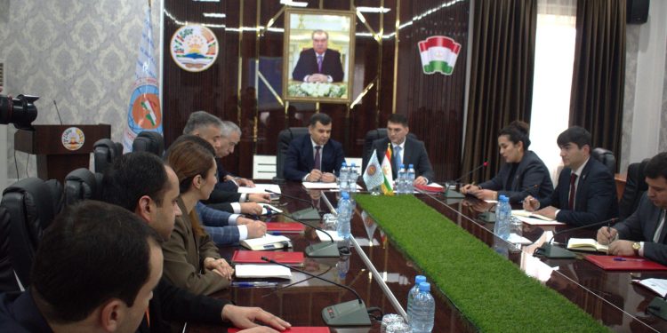 Натиҷагирӣ аз фаъолияти ташкилоти ибтидоии ҳизбии “Муҳоҷир”-и Хадамоти муҳоҷират дар соли 2025 ва вазифаҳо барои соли 2026