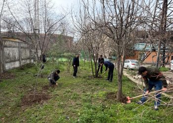 Шанбегии дастаҷамъона дар Хадамоти муҳоҷират