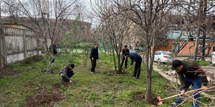 Шанбегии дастаҷамъона дар Хадамоти муҳоҷират