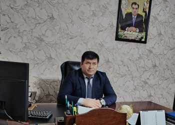 Роль Лидера нации в укреплении мира и национального единства