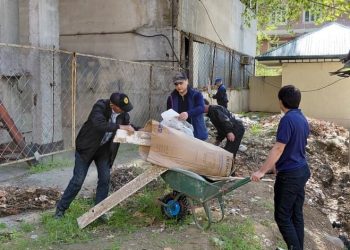 Шанбегии дастаҷамъона дар Хадамоти муҳоҷират