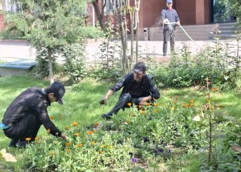 Шанбегии дастаҷамъона дар Хадамоти муҳоҷират