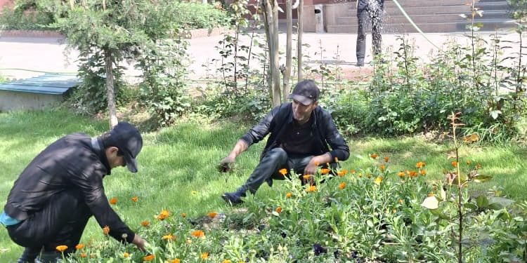 Шанбегии дастаҷамъона дар Хадамоти муҳоҷират