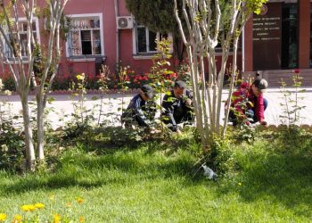 Баргузории шанбегӣ аз тарафи кормандони Хадамоти муҳоҷират