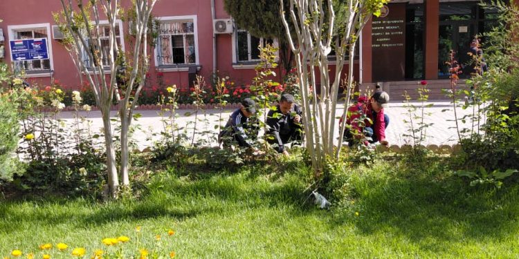 Баргузории шанбегӣ аз тарафи кормандони Хадамоти муҳоҷират