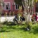 Баргузории шанбегӣ аз тарафи кормандони Хадамоти муҳоҷират