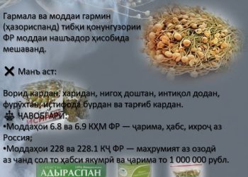 Ба таваҷҷуҳи шаҳрвандон мерасонем, ки истифодаи растании гармала (ҳазориспанд) дар Россия қатъиян манъ мебошад