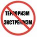 Терроризм ба вабои аср табдил ёфта, хатари ҳамешагиро миёни насли ҷавон ба миён овардааст